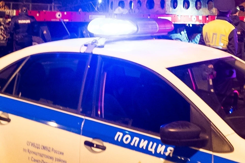 По предварительным данным, фура снесла отбойники.