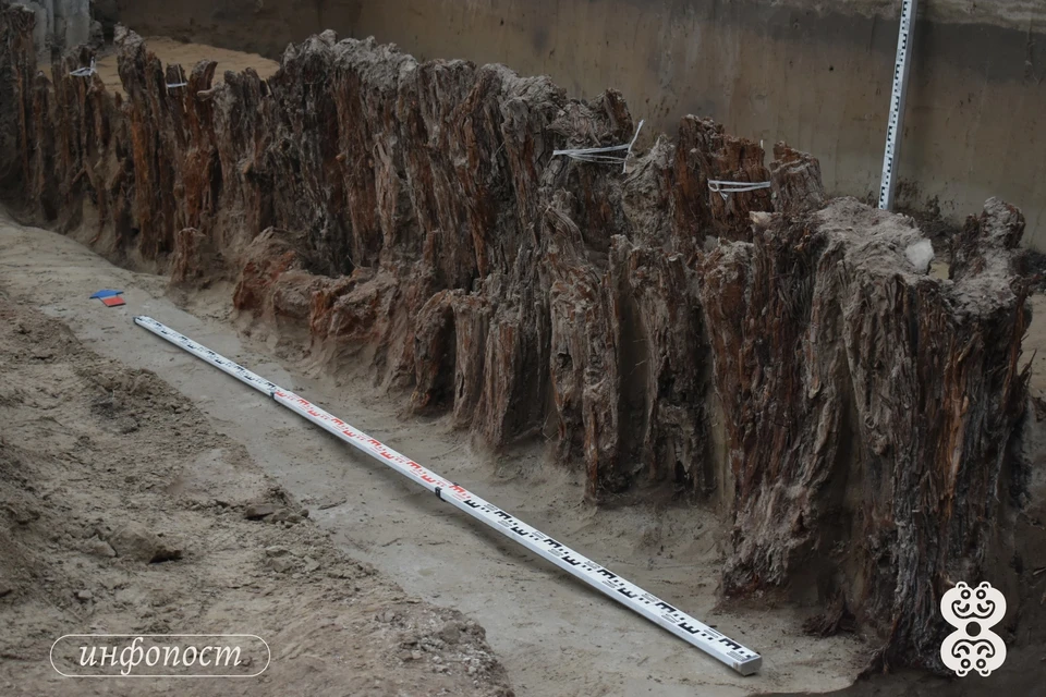 Фото: музей археологии и этнографии Енисейской Сибири (vk.com/sfu_archeology)