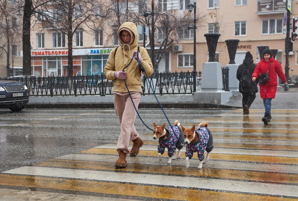 За сутки в Ростове и области теплая осенняя погода сменится на зимнюю.