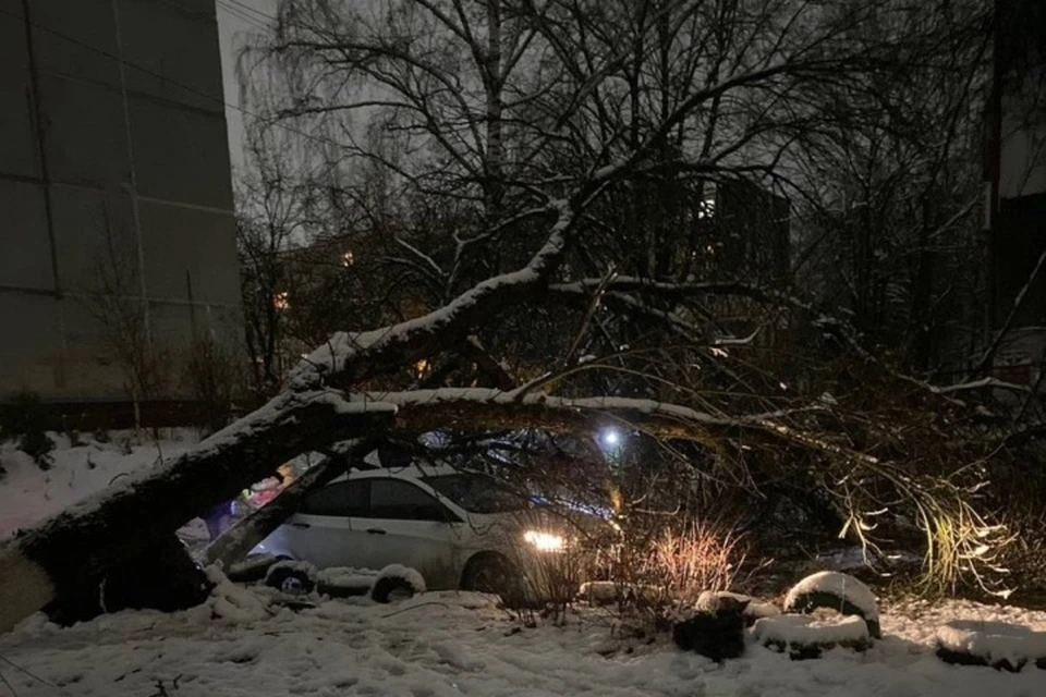 Фото: пресс-служба Брянской городской администрации.