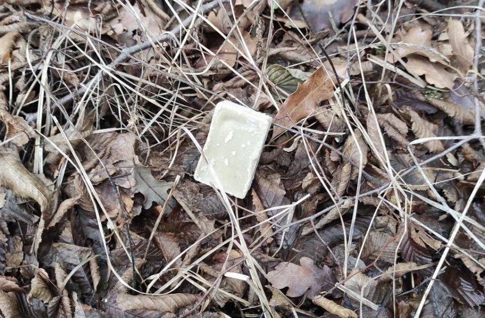 Фото: пресс-служба правительства Севастополя