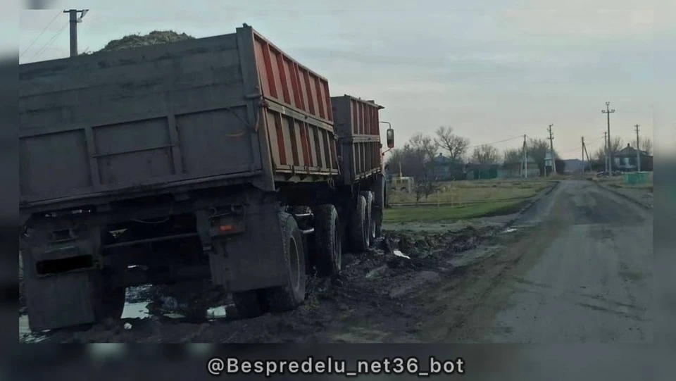 Фото УГИБДД по Воронежской области