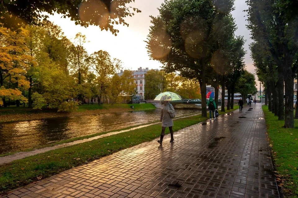 Осень 2024 года в спб. Осень в санкт-петербурге. Осень 2024 года в спб. Осень в питере. Осень 2024 года в спб.
