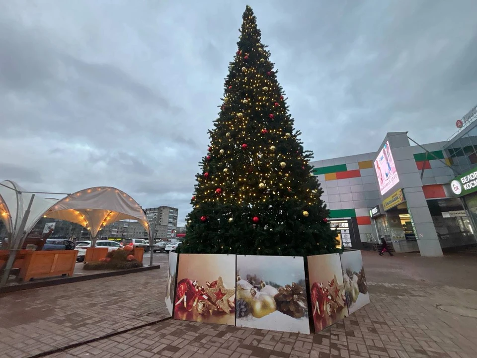 Фото: соцсети Александра Новикова.