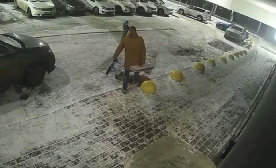Видео попало на глаза полицейским, которые разбираются в произошедшем.