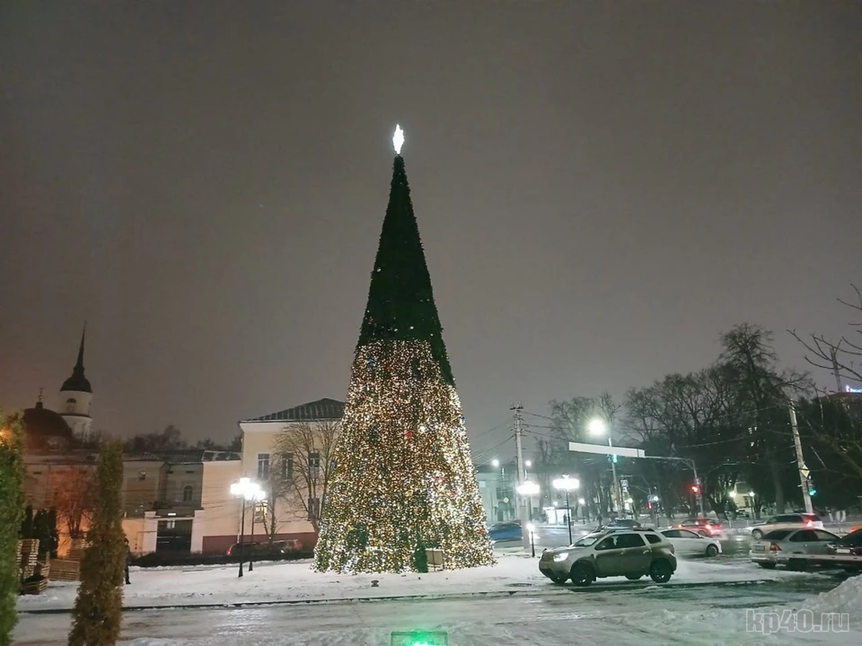 Новогодняя елка на Старом Торге
