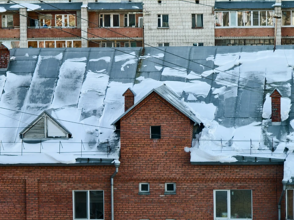 Фото: Дмитрий Еланаков/BFM-Томск