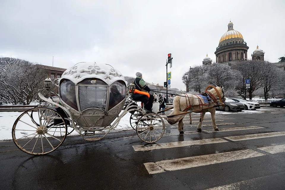 Петербург продолжает развивать разные направления туризма.