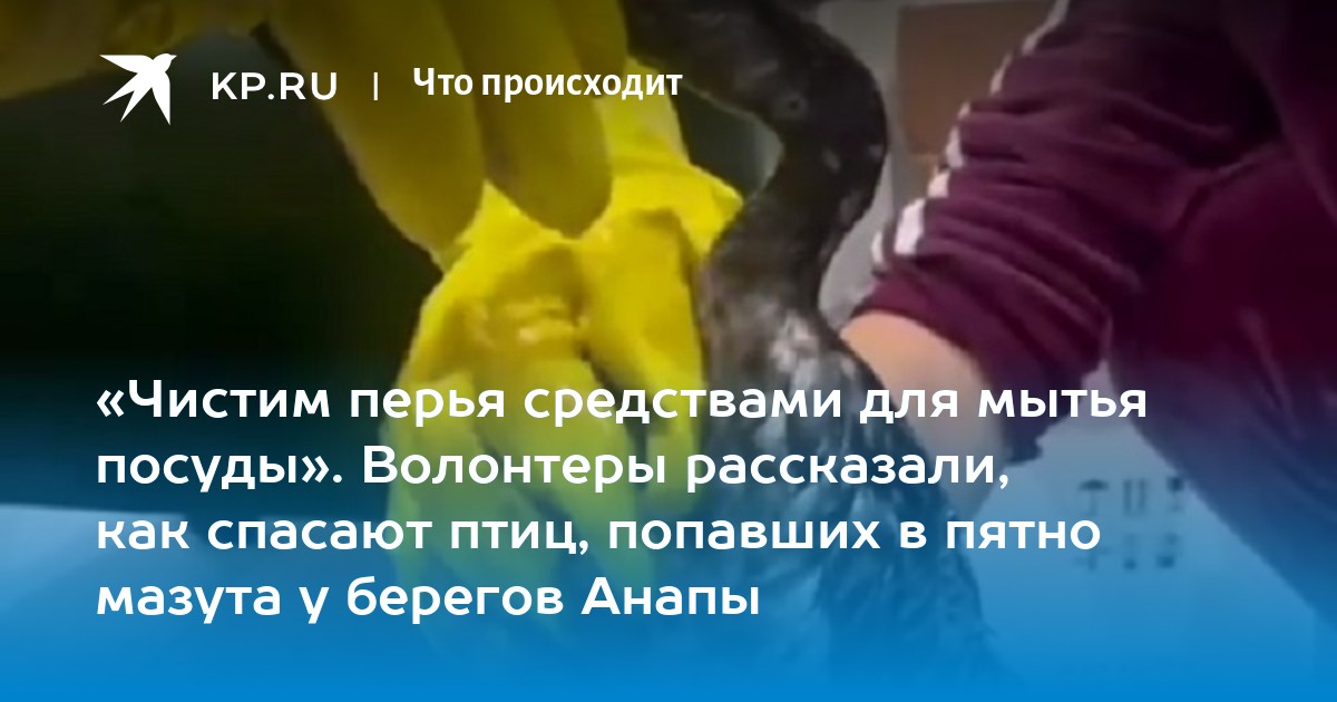 Как попасть добровольцем в барс. Как попасть добровольцем в барс