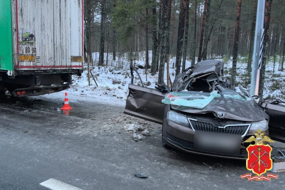 Молодой водитель погиб в ДТП на трассе «Кола». Фото: ГУ МВД России по Петербургу и Ленобласти