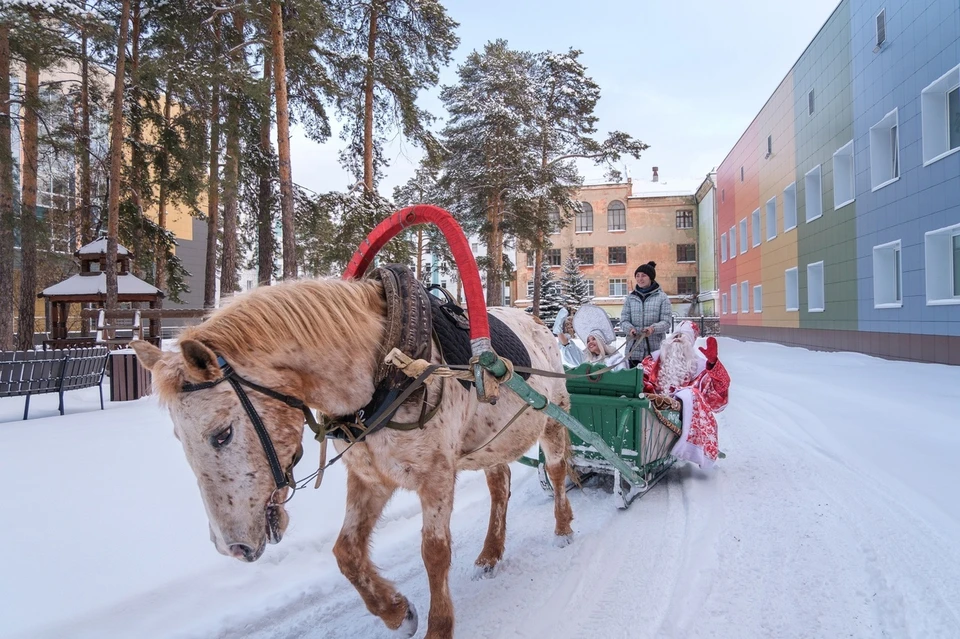 Фото: ЧОДКБ