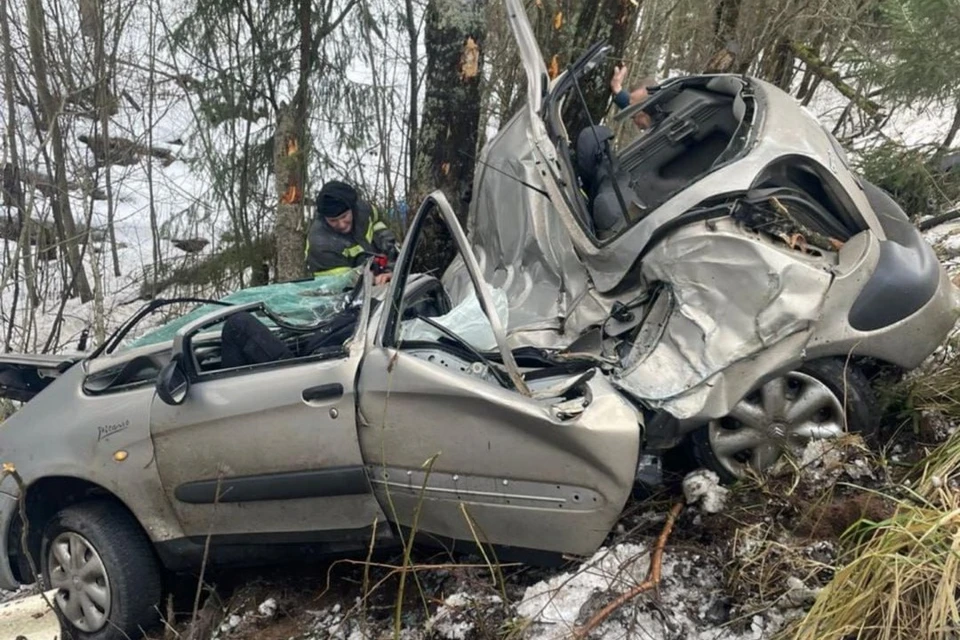 Водитель погиб и два пассажира пострадали в ДТП на трассе в Ленобласти. Фото: ГУ МВД России по Петербургу и Ленобласти