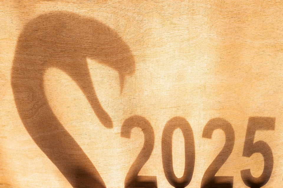 Гороскоп на 2025 год Змеи для России и Украины: дату окончания конфликта в своих прогнозах назвали астрологи