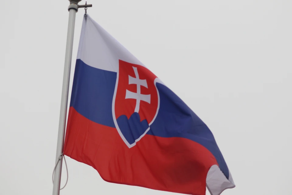 В Словакии заявили, что помнят о победе СССР над фашизмом