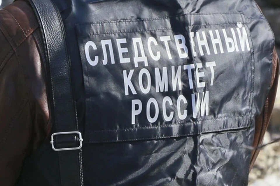 Следком и прокуратура Алтайского края проверяют информацию, опубликованную в социальных сетях