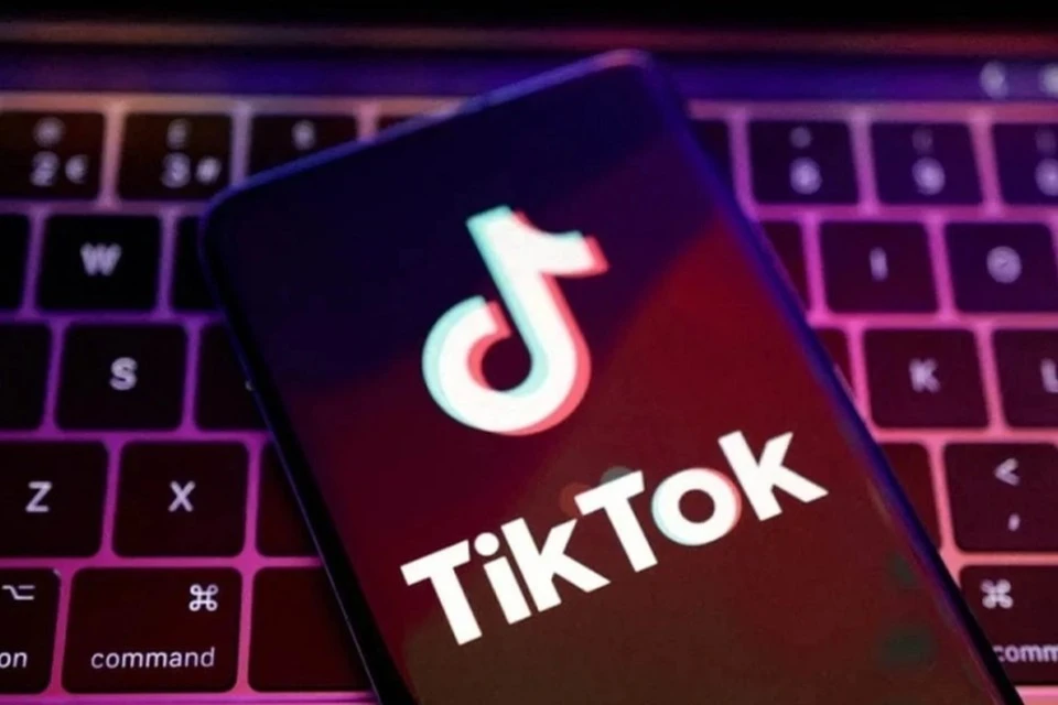 Запрет TikTok в ЕС: мнение руководителя Axel Springer