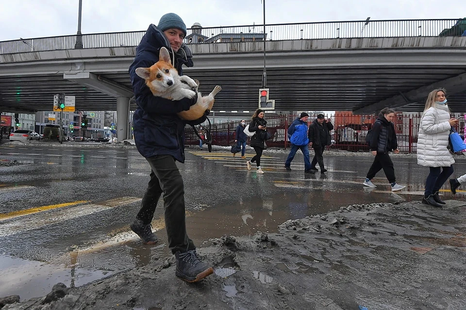 На Крещение столица осталась практически без снега