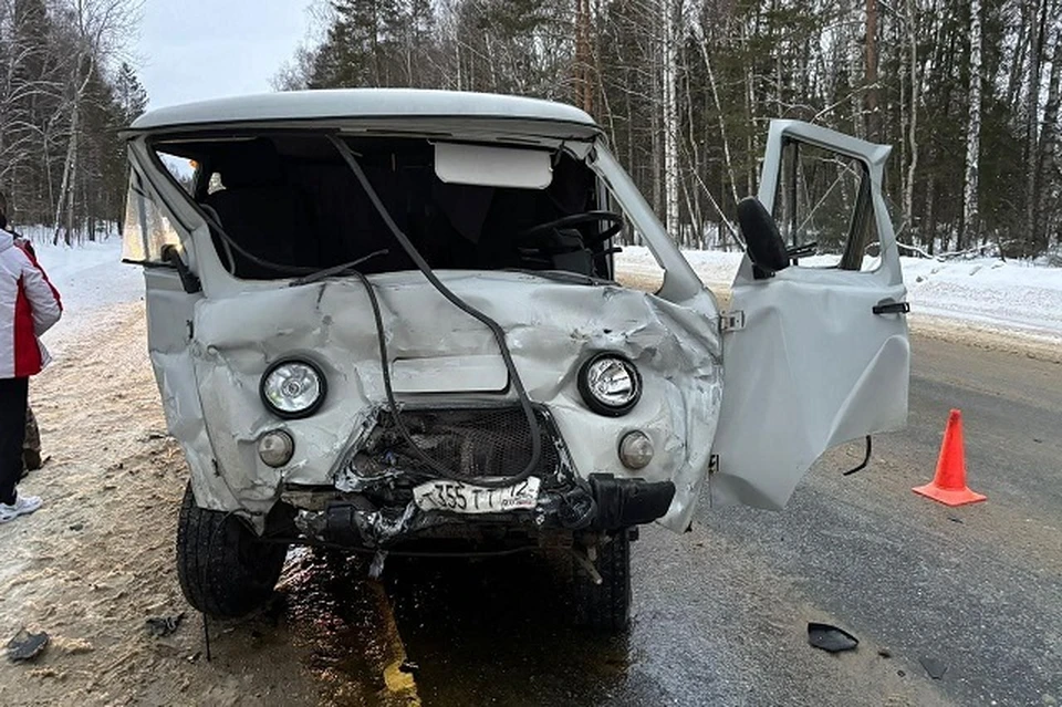 Фото: Госавтоинспекция Марий Эл.