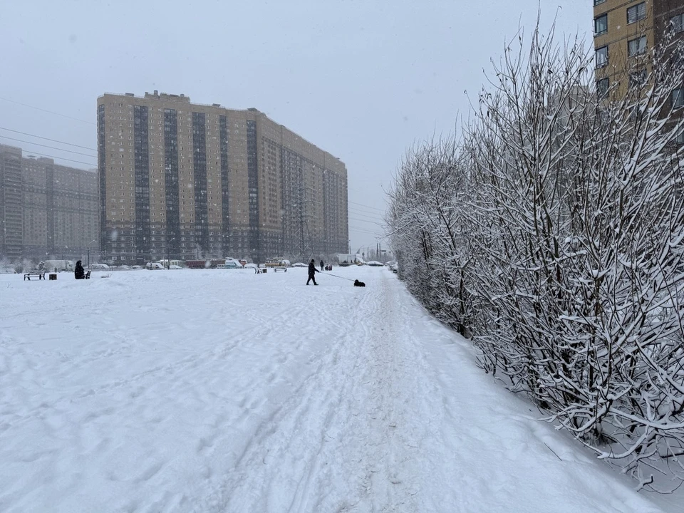 Городские власти предложили депутатам рассмотреть вопрос увеличения финансирования уборки снега.