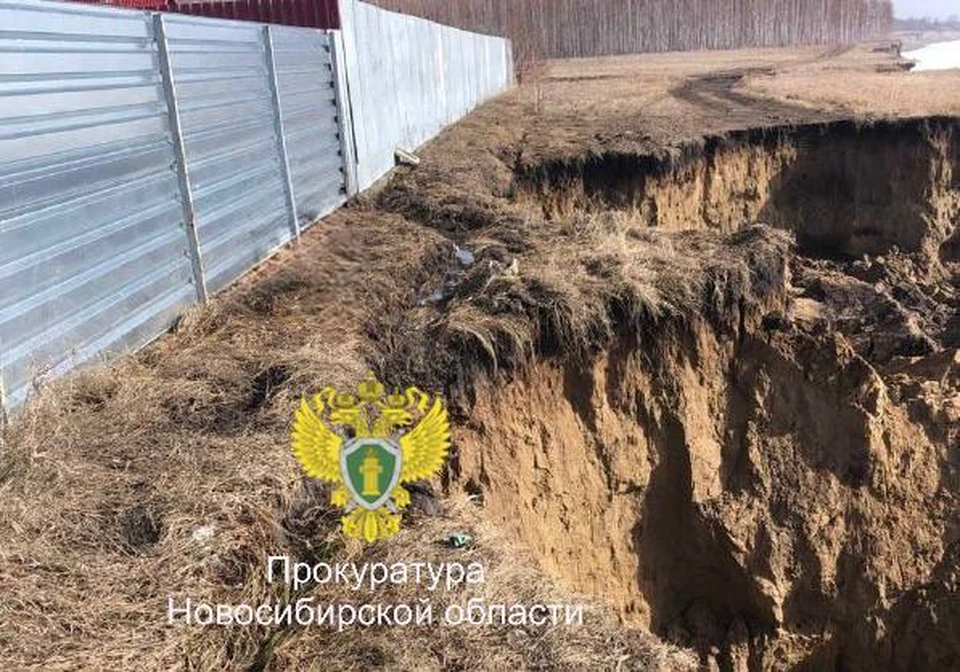 Дачники пожаловались на обрушение берега Новосибирского водохранилища. Фото: прокуратура Новосибирской области