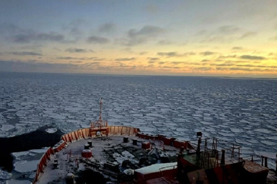 Ледокол на севере Обской губы Карского моря. Фото: Владимир Павлов