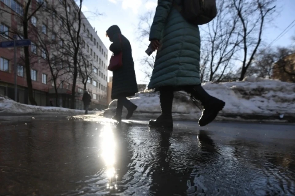 Впервые среднемесячная температура января в Москве оказалась положительной