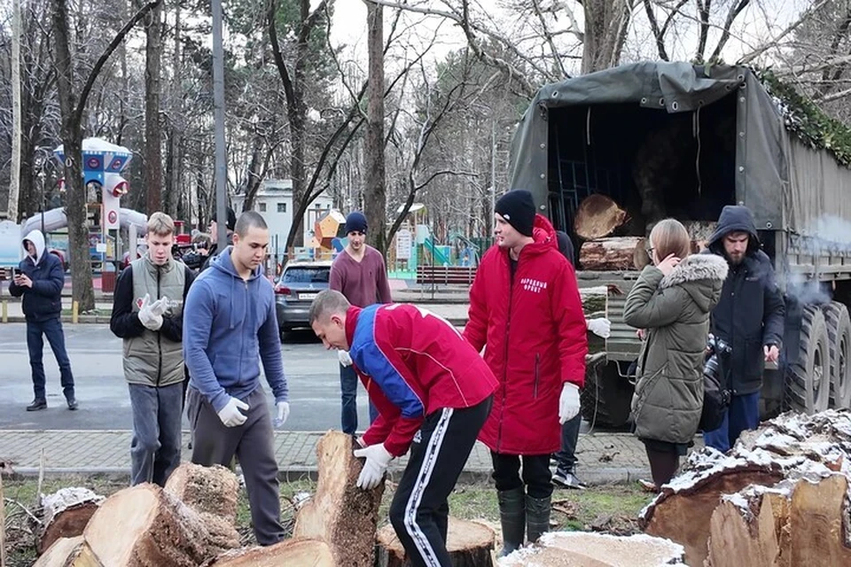 Старые парковые деревья из Крыма становятся топливом для блиндажных печей Херсонщины. Фото: Народный фронт Крыма