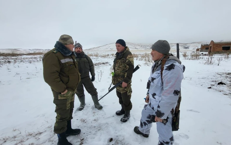 Хищники нападают на домашних животных, загрызли несколько собак.