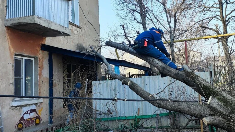 Ураган ломает деревья. Фото: t.me/alekseioderov