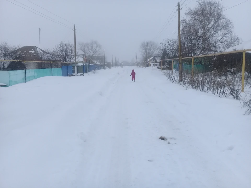 Небольшой, днем в отдельных районах и округах пройдет умеренный снег.