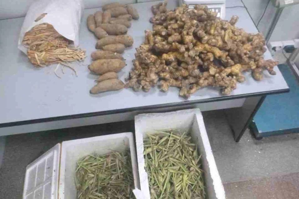 В Иркутске у иностранца изъяли 37 кг незадекларированных продуктов. Фото: иркутская таможня.