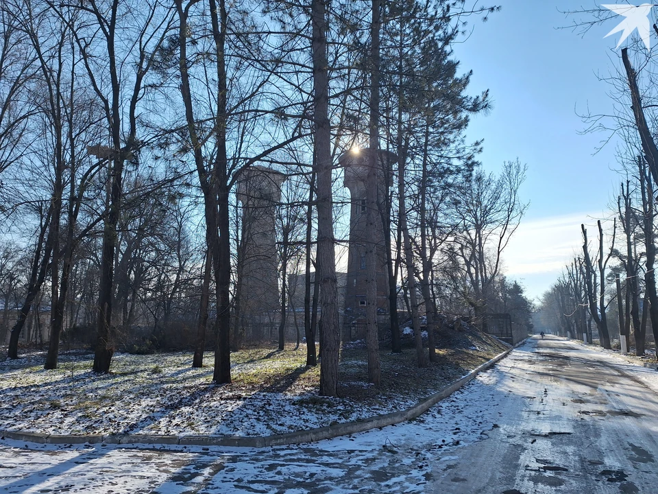 Мороз и солнце - день чудесный, но очень хочется весны. Фото: "КП"