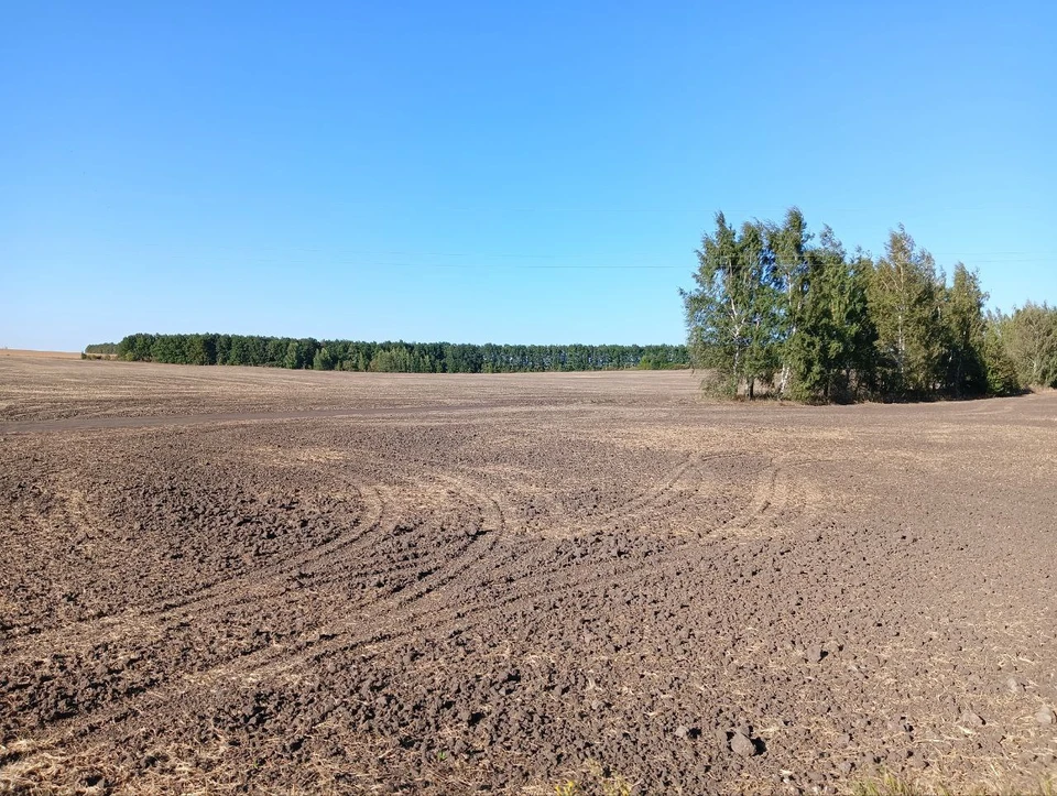 В октябре 2023 года Росприроднадзор направил ООО «Коммунсервис» требование о внесении платы за негативное воздействие на окружающую среду.