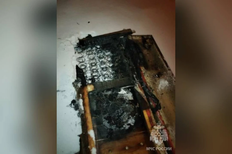 Предположительно установлено, что хозяйка квартиры курила и уронила непотушенную сигарету на диван.