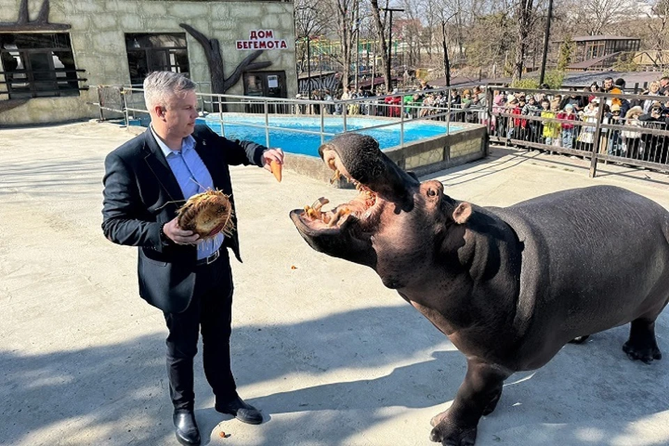 У бегемота тоже праздник. Фото: Виктор Жиленко/Vk