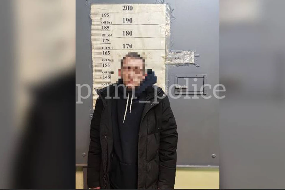 Нападавшим оказался ранее судимый 32-летний житель Артема.