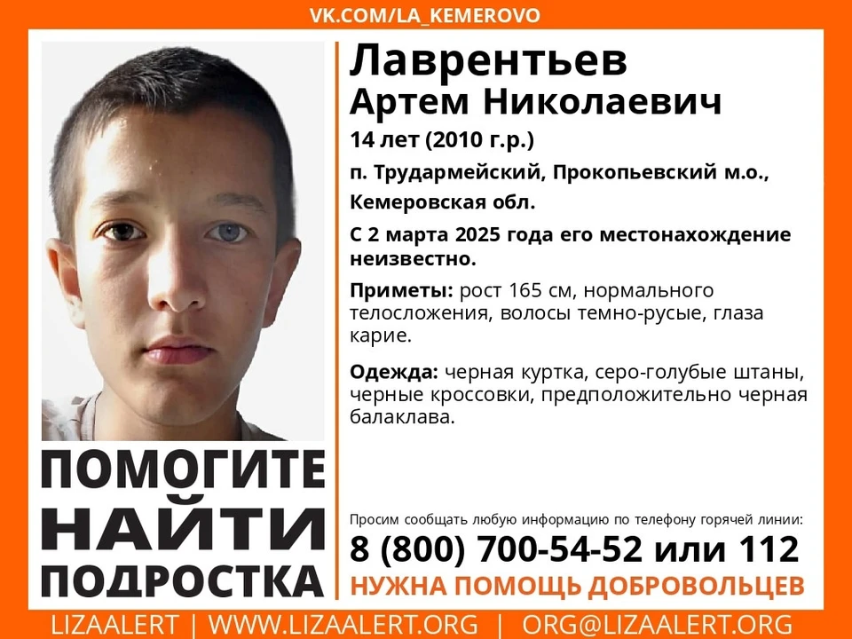 Фото: "Лиза Алерт Кузбасс".