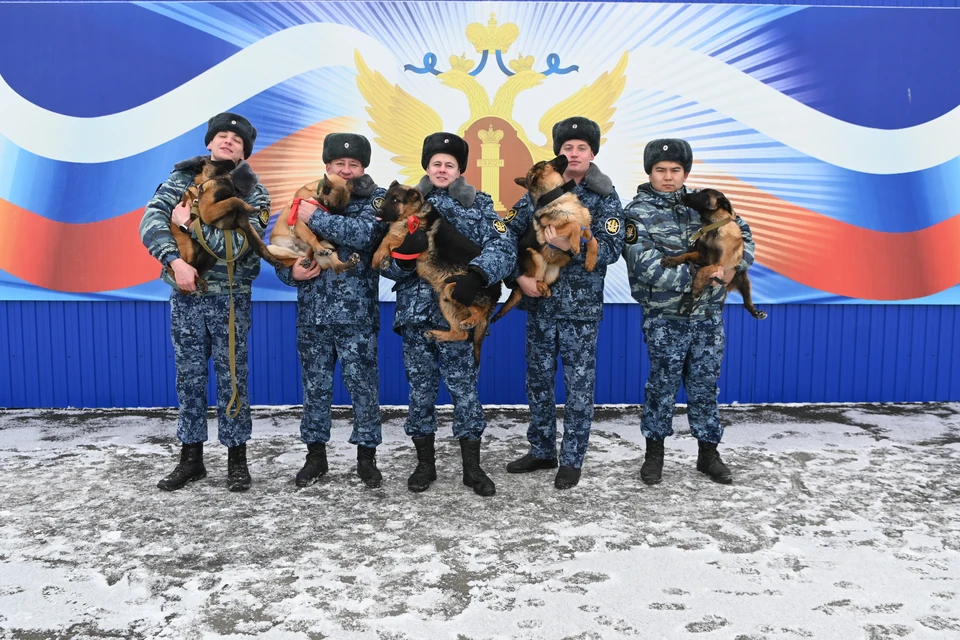 За каждым щенком закрепят специалиста-кинолога. Фото: Пресс-служба УФСИН России по Оренбургской области