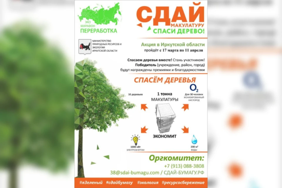 Экомарафон «Сдай макулатуру – спаси дерево» стартует в Иркутске 17 марта.