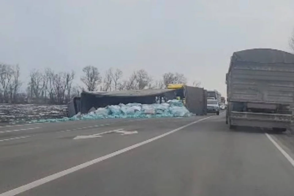 В ДТП никто не пострадал Фото: кадр из видео