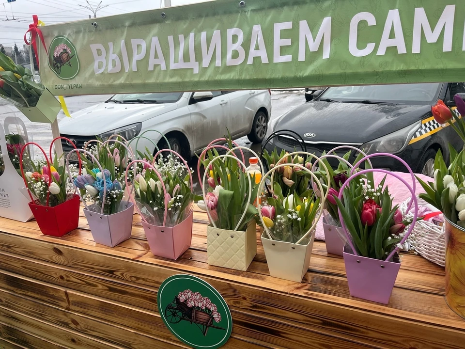 Фото: Анна Апурина