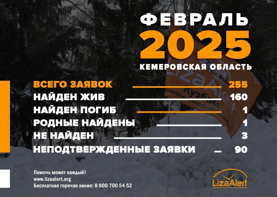 Фото: соцсети поискового отряда «Лиза Алерт».