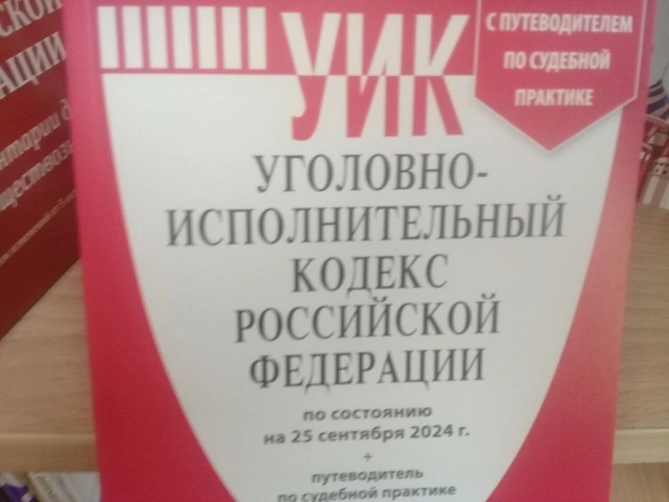 В соответствии с ч.1 ст. 158 УК РФ (Кража) фигуранту грозит до двух лет тюрьмы.
