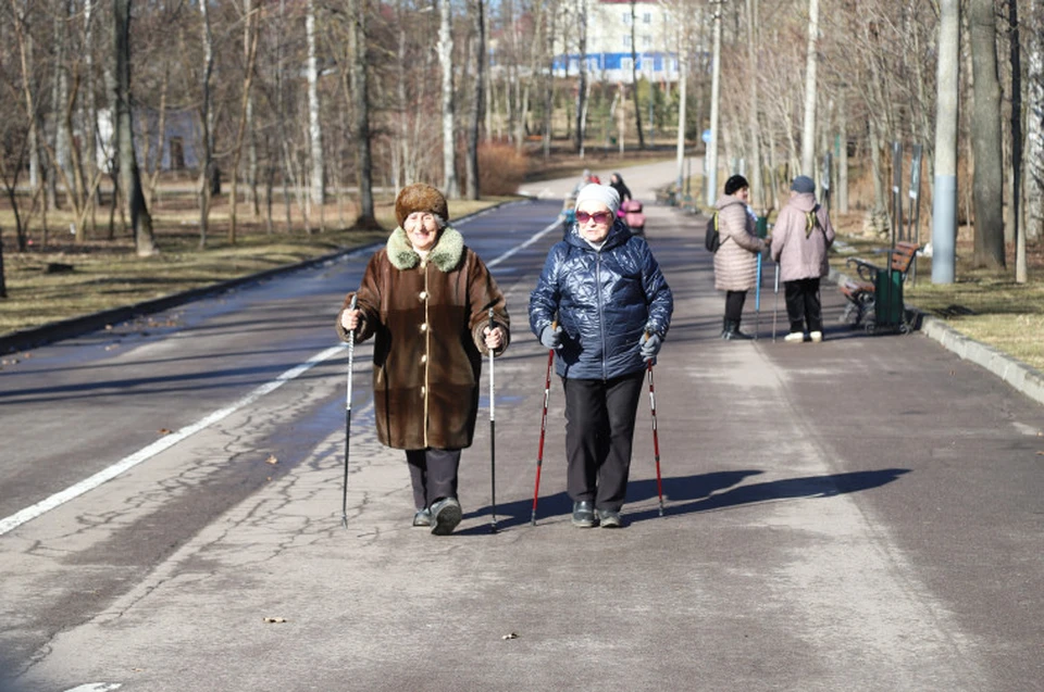 Более 70 человек приняли участие в фестивале северной ходьбы в Туле.