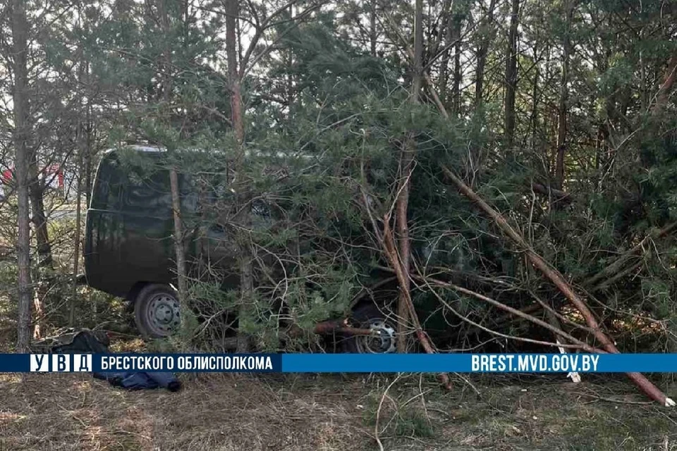ДТП в Жабинковском районе. Фото: УВД Брестского облисполкома.
