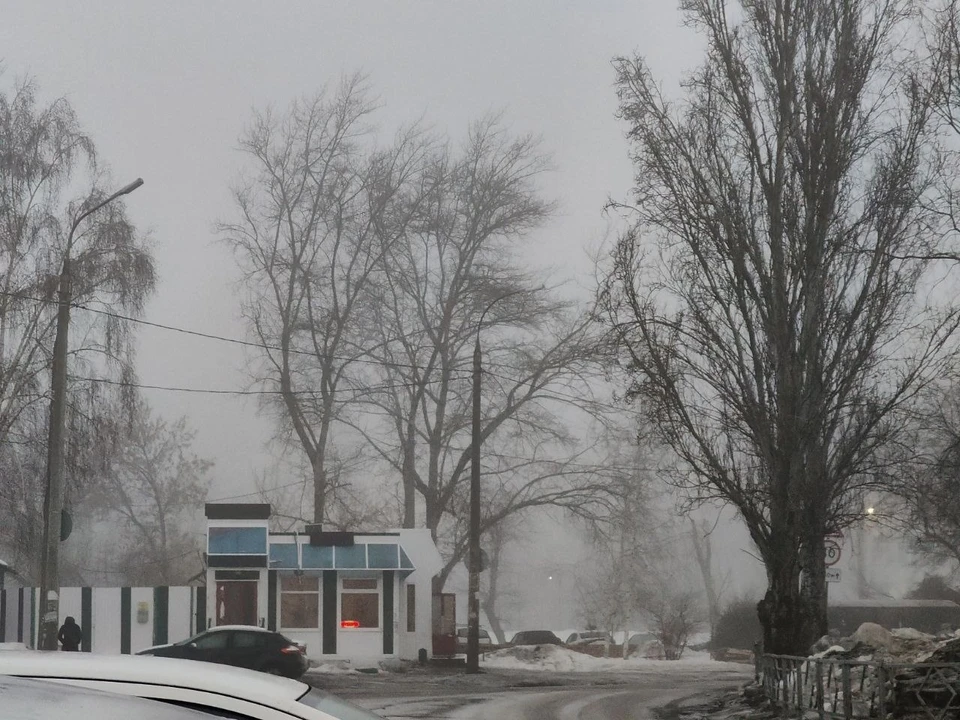 Регион накрыл туман