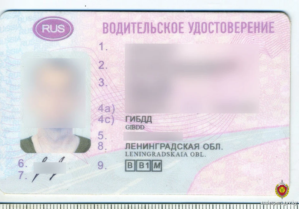 Лишенный прав водитель попался с поддельным удостоверением. Фото: sudexpert.gov.by