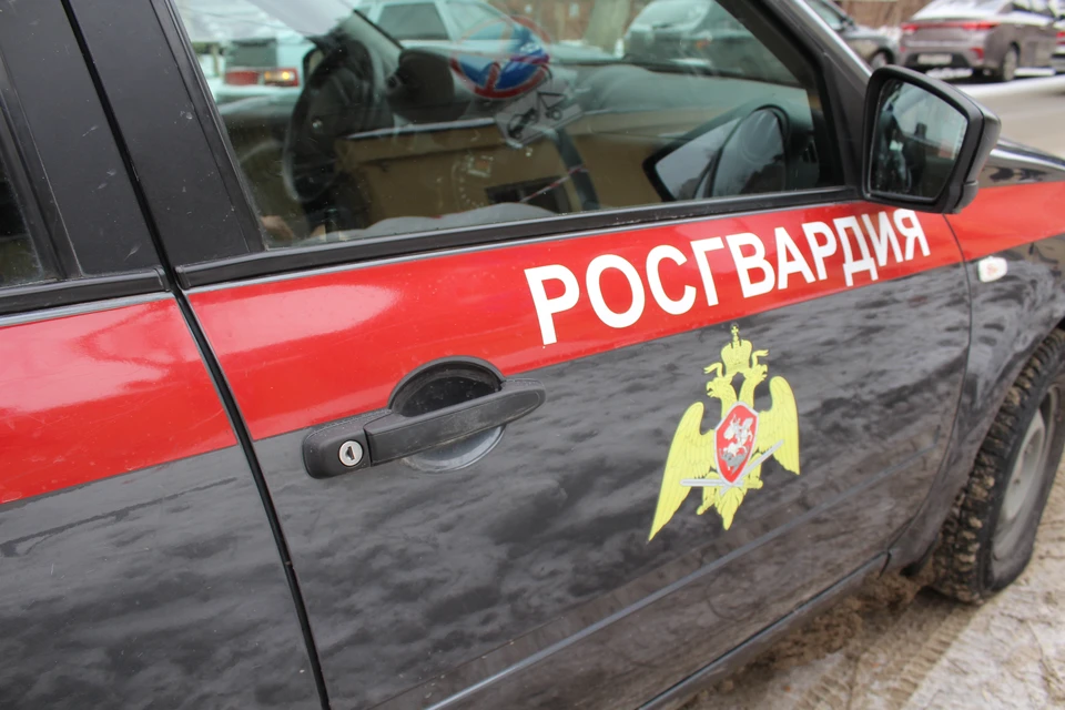 Фото: Росгвардия Саратовской области