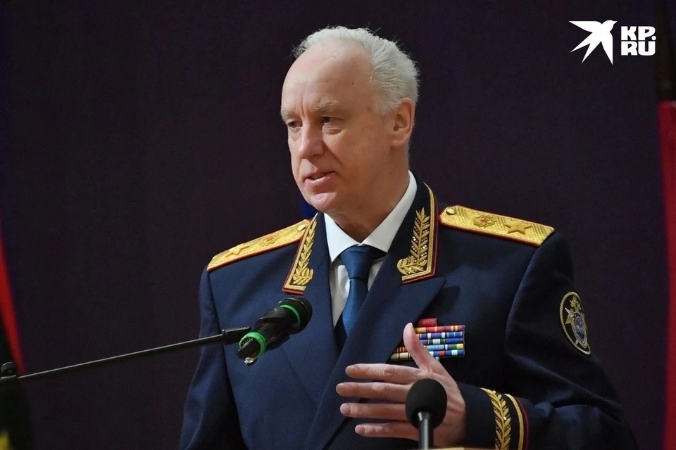 Бастрыкин поручил возобновить уголовное дело из-за неотлова бродячих собаках в Шацке