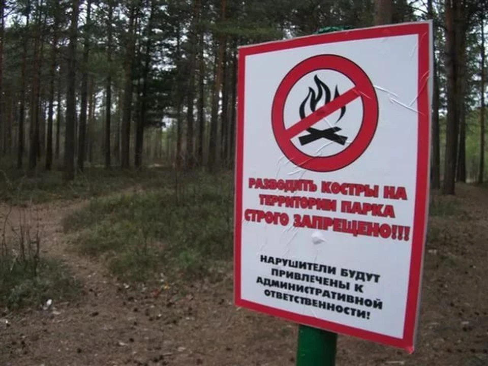 Область готовится к сезону природных пожаров. Фото: облкомприроды